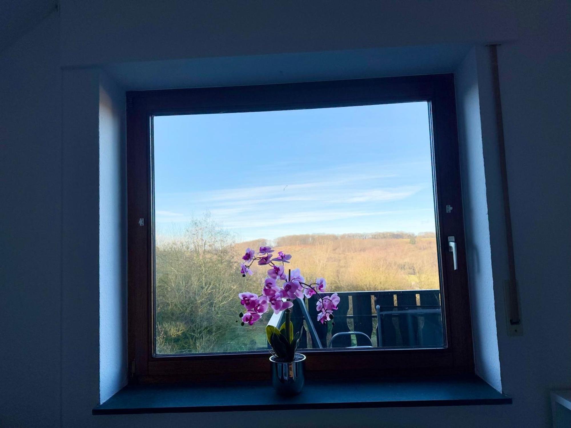 Möhnesee Moehne Ferienwohnung מראה חיצוני תמונה