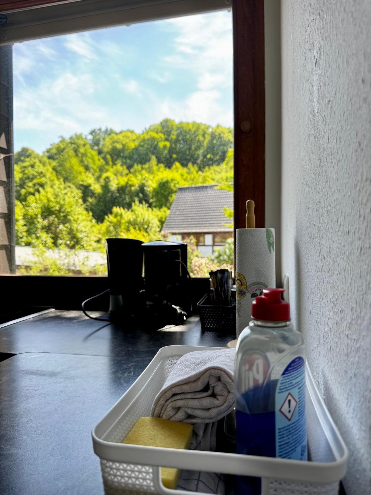 Möhnesee Moehne Ferienwohnung מראה חיצוני תמונה